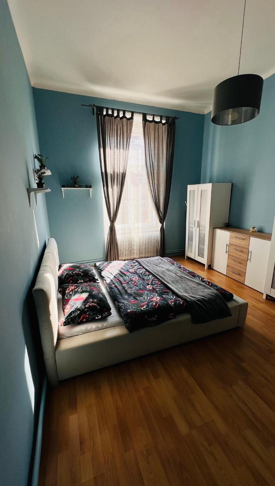 Apartament I.p.pavlova *