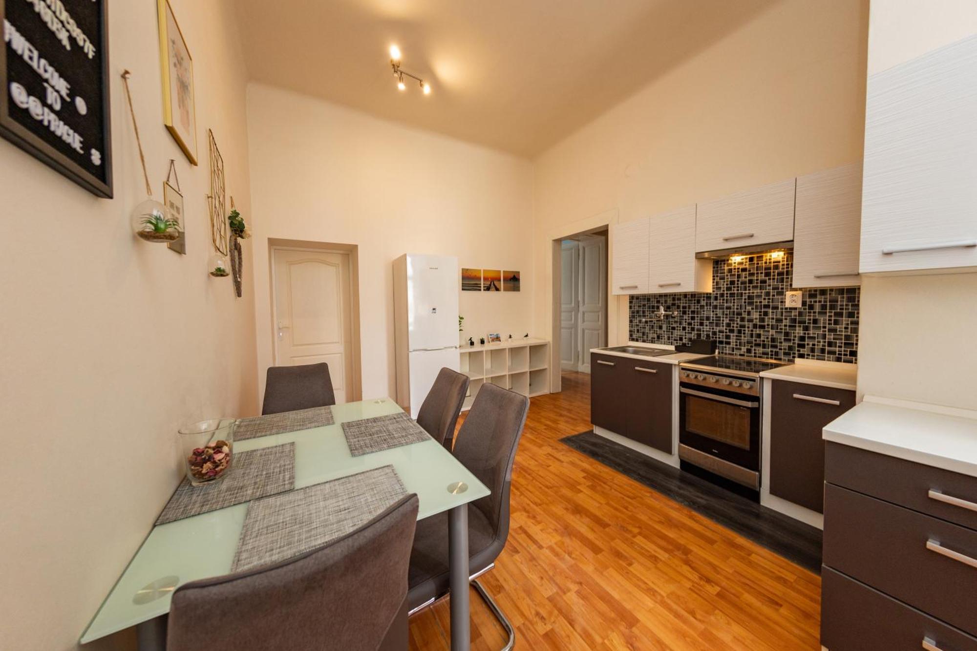 Apartament I.p.pavlova Praga